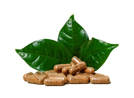 Биоактивті қоспалар