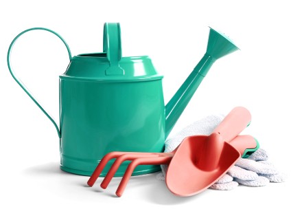 Тұрмыстық химия